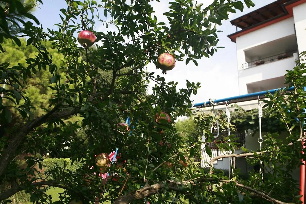 Apartments Jasna Rovinj Croatia
